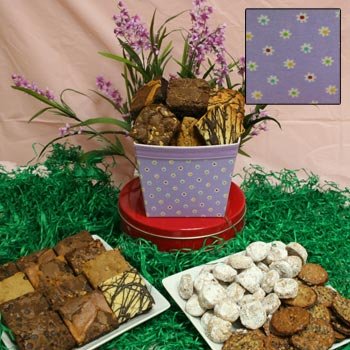 Daisy Meadow of Meltaways by David's Cookies