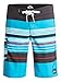 Quiksilver Men's Everyday Prints 21 Inch Boardshort