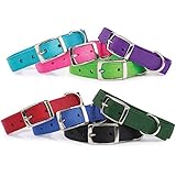 Guardian Gear Double-Layer Nylon Dog Collar, 20-Inch, Sparkling Grape