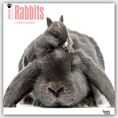 Rabbits 2016 Square 12x12 (Multilingual Edition)