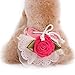 PanDaDa Puppy Pet Dog Flower Sanitary Panty Pant Lace Diaper Underwear Pink X-Small