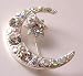 Ladies crescent moon and star pin brooch in silver coloured metal JW72