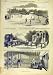Edinburgh Railway Station Berwick Cricket Scotland 1850