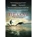 The Cove