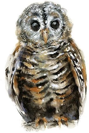 Chaco Owl Watercolor Giclee Print