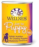 Wellness Canned Dog Food for Puppy, Just for Puppy Recipe, 12-Pack of 12-1/2-Ounce Cans