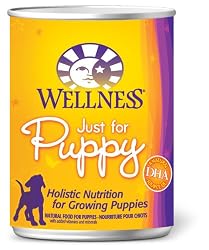 Wellness Canned Dog Food for Puppy, Just for Puppy Recipe, 12-Pack of 12-1/2-Ounce Cans