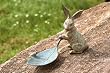 Rabbit and Leaf Bird Feeder
