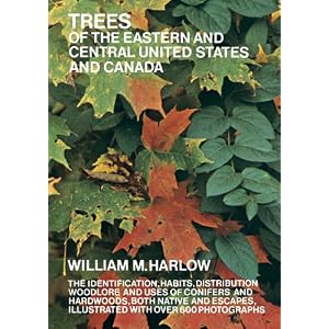 Trees of the Eastern and Central United States and Canada