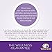 Wellness Healthy Indulgence Natural Grain Free Wet Cat Food, Turkey & Chicken, 3-Ounce Pouch (Pack Of 24)