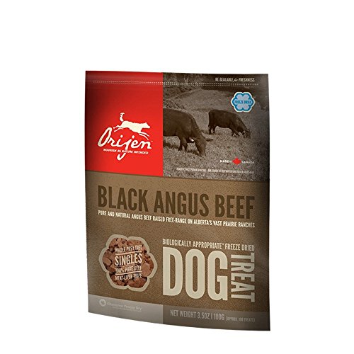 Orijen Freeze-Dried Angus Beef Treats - 2oz