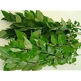 Fresh Curry Leaves (Hawaii) 1 Oz