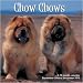 Chow Chows 2010 Wall Calendar