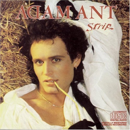 Adam Ant Picture 8