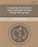 Computing the projective indecomposable modules of large finite groups.