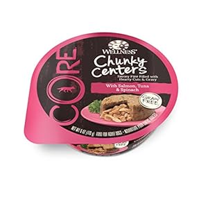 Wellness CORE Chunky Centers Natural Grain Free Wet Canned Dog Food, Salmon, Tuna and Spinach Recipe, 6 Ounce Wellness CORE Chunky Centers Natural Grain Free Wet Canned Dog Food, Salmon, Tuna and Spinach Recipe, 6 Ounce