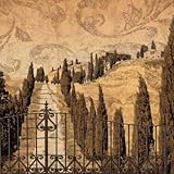 Tuscany II HIGH QUALITY CANVAS Print With Light Added BRUSHSTROKES Colin Floyd 35x35 Tuscany II HIGH QUALITY CANVAS Print With Light Added BRUSHSTROKES Colin Floyd 35x35