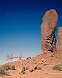 Monument Valley 'Thumb' - Beautiful 16"x20" Photographic Print by Carol M. Highsmith