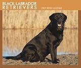 Labrador Retrievers (Black) 2009 Boxed Calendar