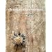 Les bijoux en p�te polym�re de Rie Nagumo