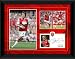 Arsenal FC Tomas Rosicky Framed Player Profile Photograph 16x12 (406x305mm)