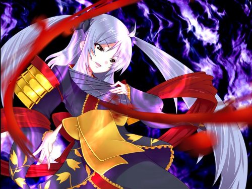 戦極姫 ~戦乱に舞う乙女達~(限定版)