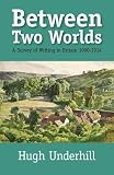 Between two worlds : a survey of writing in Britain and Ireland, 1900-1914