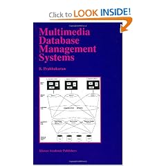 Multimedia Database Management Systems (The Springer International Series in Engineering and Computer Science)