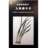 在来固定種　伝統野菜の種「九条細ねぎ」10ml約1600粒　畑懐〔はふう〕