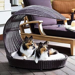 Outdoor Dog Chaise Lounger - Frontgate Dog Bed