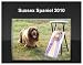 Sussex Spaniel 2010