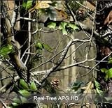 1 (one) 2in X5in Camo Window Film Realtree APG