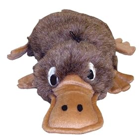 Egg Babies - Platypus