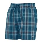 Arena Herren Badeshort Bricky