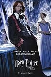 Harry Potter and the Goblet of Fire Poster Movie D 11x17 Daniel Radcliffe Rupert Grint Emma Watson