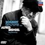 Schubert: Piano Sonatas, D784, 840, 894, 959, 960