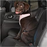 SML / MEDIUM - PINK - Houndstooth Car Harness