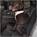 SML / MEDIUM - PINK - Houndstooth Car Harness