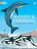 Whales and Dolphins Coloring Book