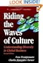 Riding The Waves of Culture: Understanding Diversity in Global Business