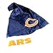 New NFL Chicago Bears Christmas Santa Hat/beanie