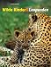 Wilde Kinder: Leoparden