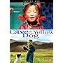 The Cave of the Yellow Dog [DVD] [2005]