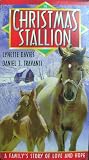 Christmas Stallion [VHS]