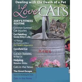 I Love Cats