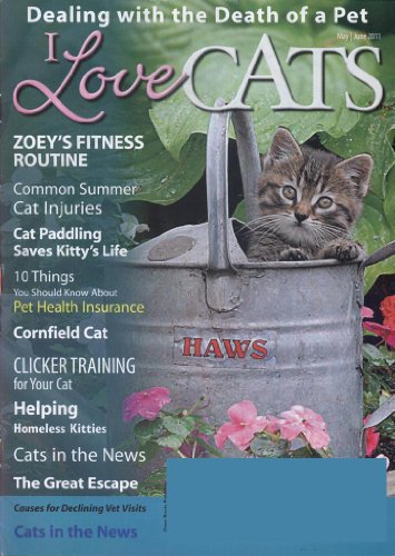 I Love Cats (1-year auto-renewal)