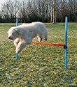 Trixie Dog Activity Agility Hurdle, 123 &times; 115 &times; 3 cm, Orange/ Blue