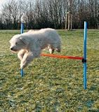 Trixie Dog Hurdle New Dog Training Agility Equipment