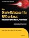 Pro Oracle Database 11g RAC on Linux (Pro Series)