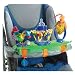 Tiny Love Grip and Grasp Stroller Toy